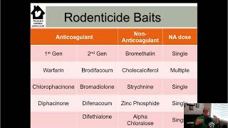 Brodifacoum Unleashed Mastering Rodent Control with Precision [upl. by Aber]