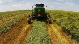 John Deere W260 Windrower Demo [upl. by Ekihc]