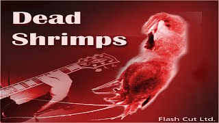 Dead Shrimps [upl. by Anuaek]