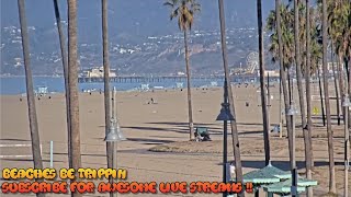 Venice Beach Santa Monica Live Webcam  Venice Beach Live Cam [upl. by Adnarrim]