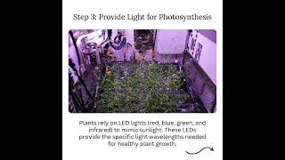 How to Grow Plants In Space [upl. by Dewitt]