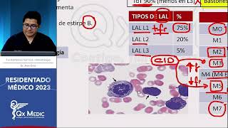 Hematología  Neoplasias Leucemias Agudas [upl. by Gerta40]