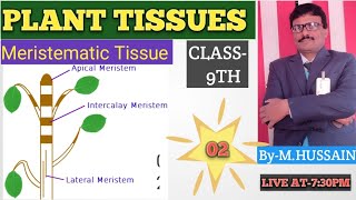 🔴🔴PLANT TISSUES🔴🔴MERISTEMATIC TISSUE🔴🔴CLASS9TH🔴LEC02🔴 [upl. by Warga]