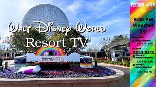 Disney Resort TV  WDW Today Channel  January 23 2024 [upl. by Kirre]