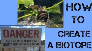 How to create a Biotope [upl. by Lerred873]