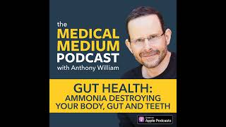 065 Gut Health Ammonia Destroying Your Body Gut And Teeth [upl. by Sheelah348]