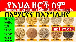 Names of grains in English and Amharic with pictures  የእህል ዘሮች ስም  Cereals in Amharic [upl. by Novit]