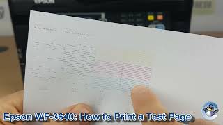 Epson Workforce WF3640 How to Print a Nozzle Check Test Page [upl. by Aknaib887]