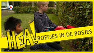 Boefjes in de bosjes  HEA [upl. by Peltier98]