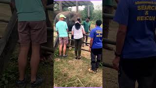 WHAT WE SEE AT JUNGLE SAFARI jungle safari [upl. by Bernardo479]