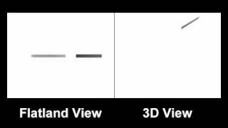 Flatland Simulation [upl. by Roumell]