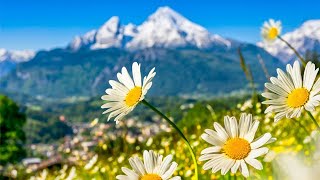 Switzerland AMAZING Beautiful Nature with Soothing Relaxing Music 4k Ultra HD by Tim Janis [upl. by Leugar]