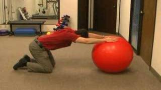 Lower Trapezius Exercise [upl. by Vorster]