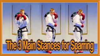 Taekwondo Sparring  The 3 Main Stances  GNT Martial Arts [upl. by Dilly]