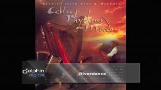 The Celtic Orchestra  Riverdance [upl. by Ellyn]