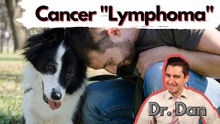 Does your dog have cancer Lymphoma in the Dog Vet explains symptoms diagnosis and treatment [upl. by Whelan]