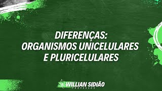 Diferenças entre Organismos Unicelulares e Pluricelulares  Prof Willian Sidião [upl. by Sidra]