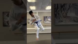 Taekwondo 540 Hook Kick Progression 1 shorts [upl. by Osman469]