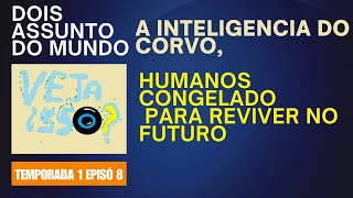 temporada 1 episó 8 Dois Assunto A INTELIGENCIA DO CORVOHUMANOS CONGELADO PARA REVIVER NO FUTURO [upl. by Kipper320]