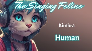 Kimbra  Human  Karaoke Version by The Singing Feline [upl. by Ulita164]