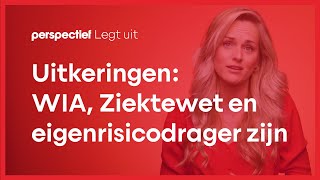 Uitkeringen wat u moet weten over WIA WGAIVA Ziektewet en Eigenrisicodrager zijn [upl. by Emerald744]