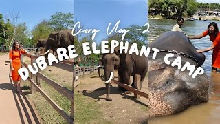 Crazy experience at Dubare Elephant Camp All you need to know  Vlog 2 dubare coorg [upl. by Onurb]