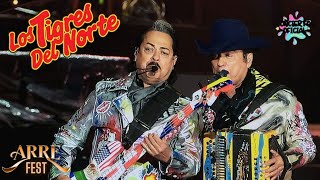 Los Tigres del Norte en el Festival Arre 2024  Concierto CDMX [upl. by Adlesirg543]