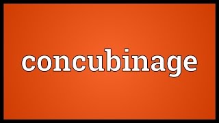 Concubinage Meaning [upl. by Lanna743]