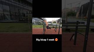 Big bicep 1 week  big bicep shorts health Sethiya fit health [upl. by Segalman553]