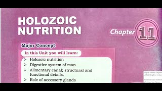 holozoic nutrition part 3 [upl. by Soule]