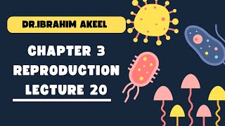 Chapter threeReproductionlecture twenty menstrual cycle  parthenogenesis and hermaphroditism [upl. by Acirehs]