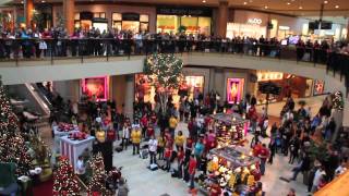 Flash Mob the best of Christmas 2011  Flash Mob Best Of [upl. by Aliber]