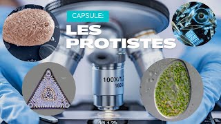 Les protistes  un monde microscopique [upl. by Airottiv]