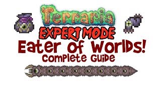 Terraria Eater of Worlds Expert Guide Strategy Drops Arena How to SummonItem Boss Fight [upl. by Nomma377]