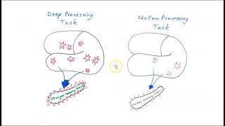 The hippocampus and study techniques [upl. by Barb686]