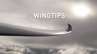 Glider Wingtips Winglets amp Wing Extensions [upl. by Lindell]