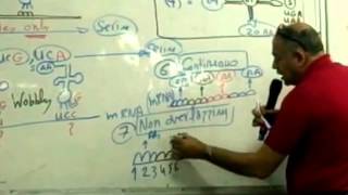 8 Post Transcriptional modificationampMutations [upl. by Eneloc434]