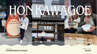 Honkawagoe daytrip  A Day in a Life [upl. by Esinert481]