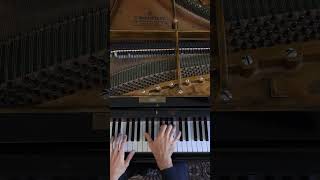 Chopin  FantaisieImpromptu Op 66 [upl. by Wahkuna]