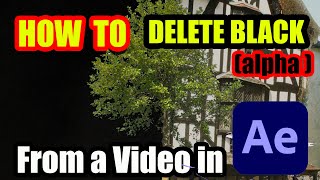 HOW TO Delete the Black Alpha from a Video After Effects Tutorial [upl. by Giusto768]