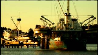 Menhaden The Most Important Fish in the Bay  Promo [upl. by Fidole]