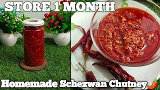 Schezwan Sauce Recipe  Homemade Schezwan Chutney  Chinese Sauce [upl. by Eyr]