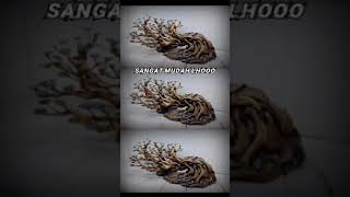 🔥 Tutorialnya Mudah Banget  Membuat Bonsai Aquascape shorts [upl. by Legna]