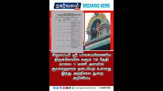 சிறுவாபுரி ஸ்ரீ பாலசுப்பிரமணிய திருக்கோயில் வரும் 7ம் தேதி மாலை 4 மணி அளவில் சூரசம்ஹாரம் [upl. by Auof]