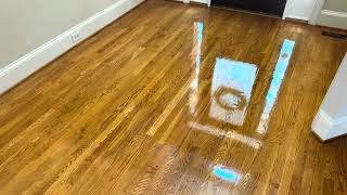 Loganville Ga Satin finish wood floor restoration…June 26 2024 shanesaveshardwoodfloors [upl. by Eiramaliehs]