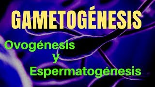 GAMETOGÉNESIS ovogénesis y espermatogénesis [upl. by Tehcac]