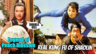 Wu Tang Collection  Real Kung Fu of Shaolin  Legend of Peach Blossom [upl. by Aurlie]