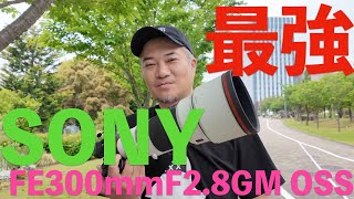 【SONY】FE300mmF28GM amp α7RV 撮影編 [upl. by Salema]