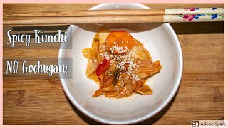 Ep 11 How to make Spicy Kimchi without GOCHUGARU Using Paprika and Chilli Powder [upl. by Clynes]