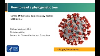 Module 13  How to read a phylogenetic tree [upl. by Sira]